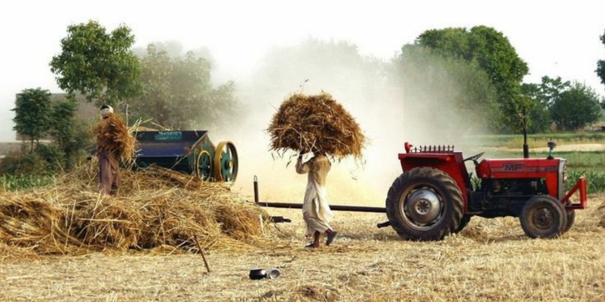 Haryana WhatsApp Group Links