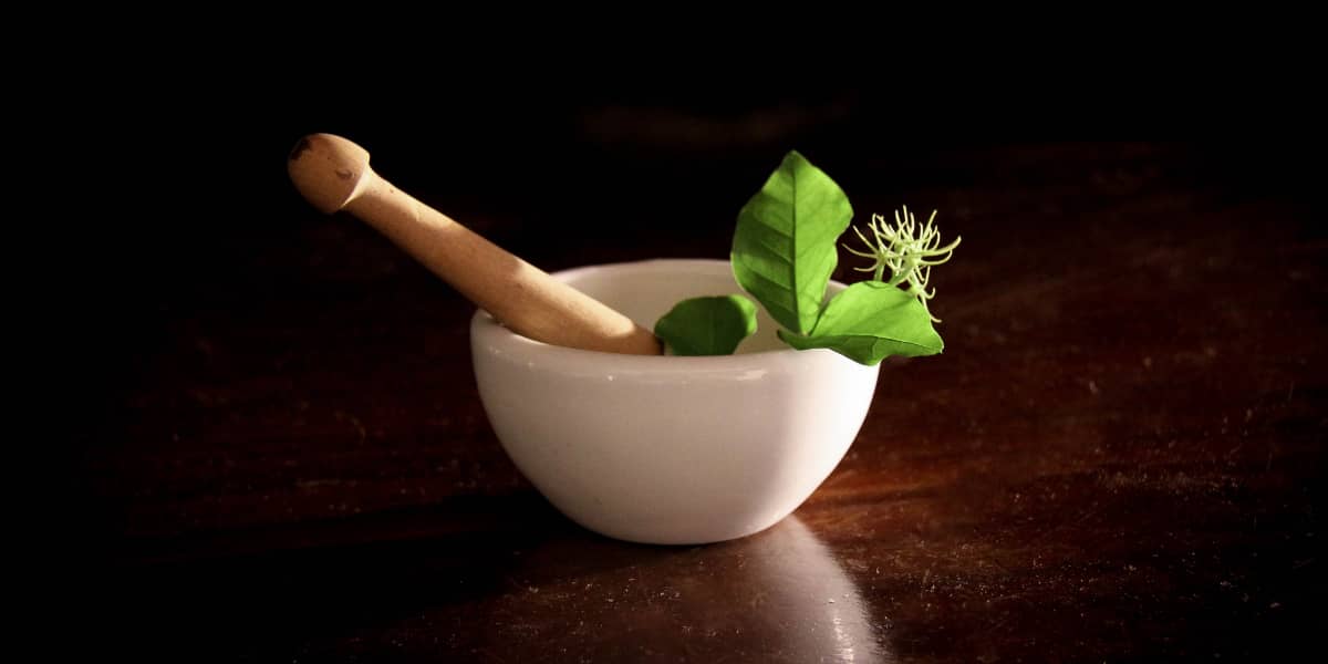 Herbal WhatsApp Group Links