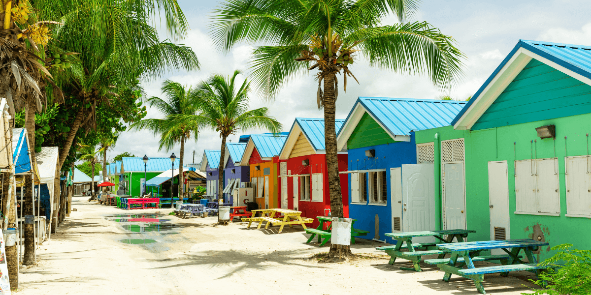 Caribbean WhatsApp Group Links