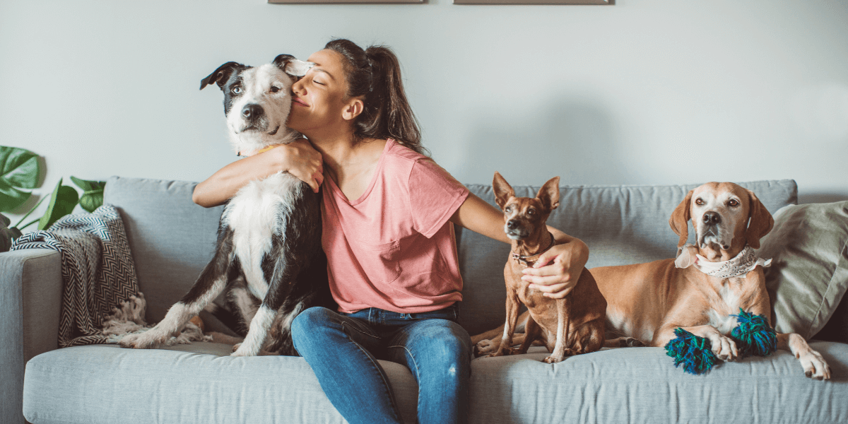 Pets WhatsApp Group Links