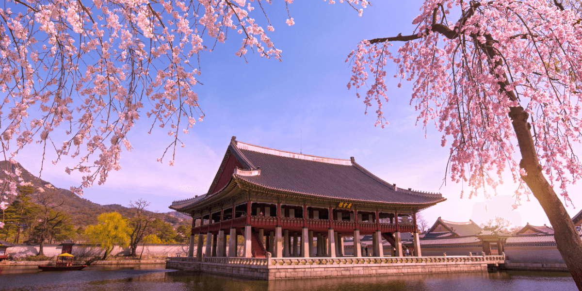 South Korea WhatsApp Group Links