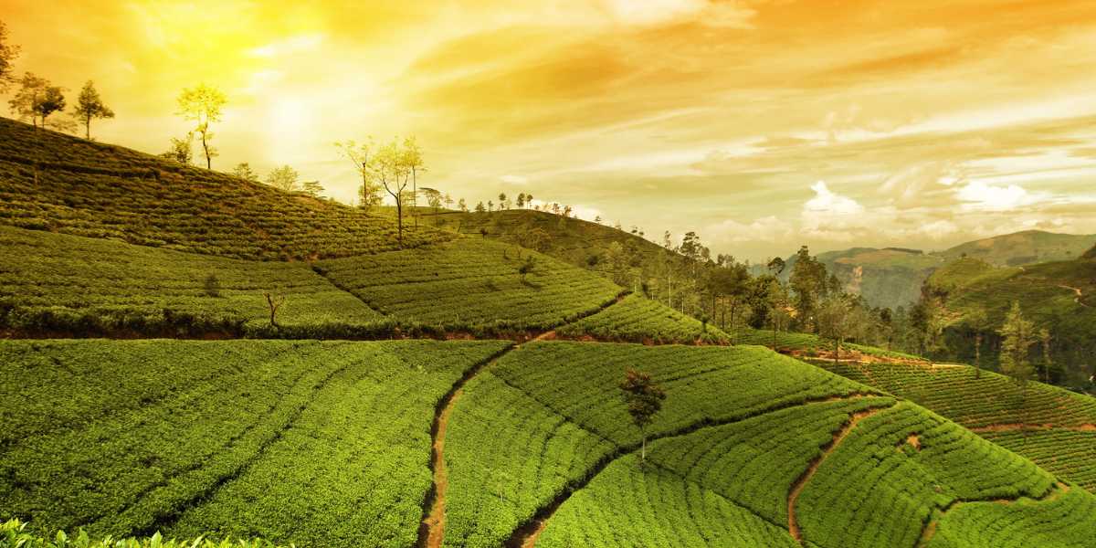 Assam WhatsApp Group Links