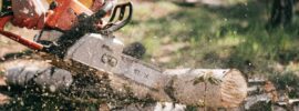 Forestry WhatsApp Group Link