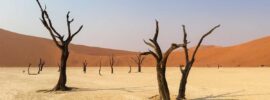 Namibia WhatsApp Group Links