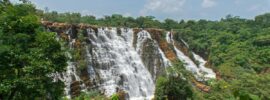 Chhattisgarh WhatsApp Group Links