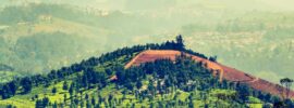 Ooty WhatsApp Group Links