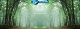 Discovery Channel WhatsApp Group Links